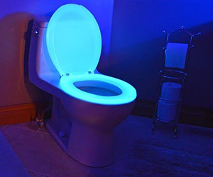 https://www.nsfwallet.com/wp-content/uploads/2014/12/neon-glow-toilet.jpg