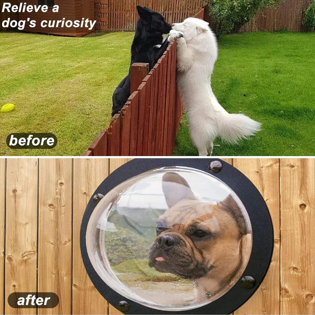 Dog Fence Peek Window